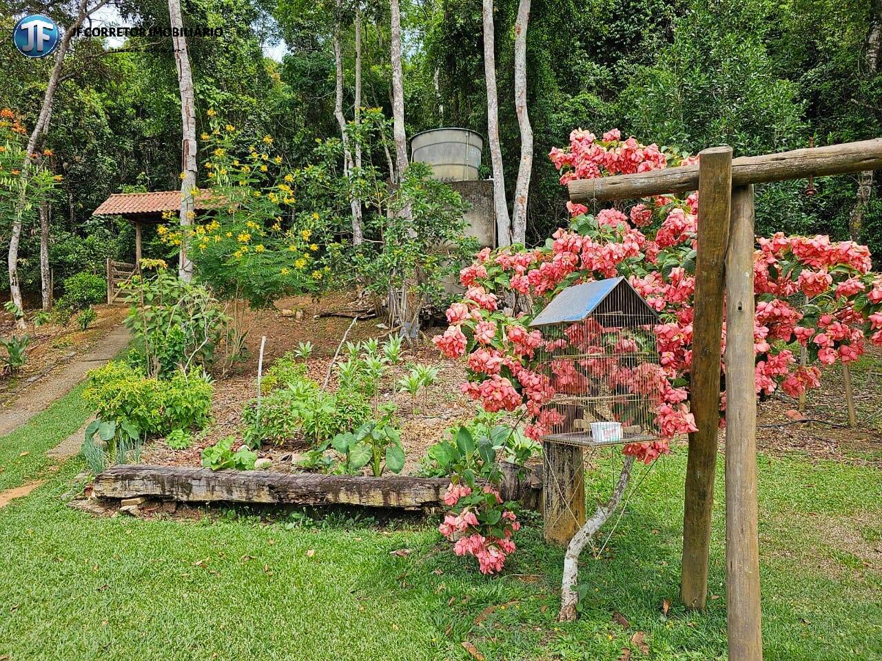 Fazenda à venda com 4 quartos, 6000m² - Foto 7