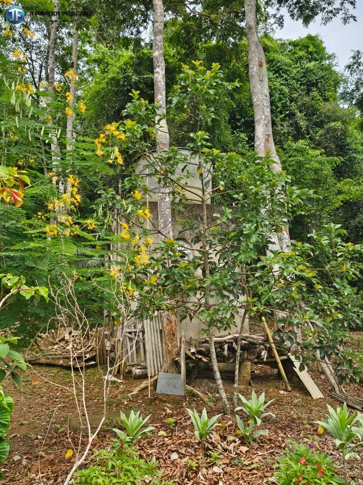 Fazenda à venda com 4 quartos, 6000m² - Foto 9