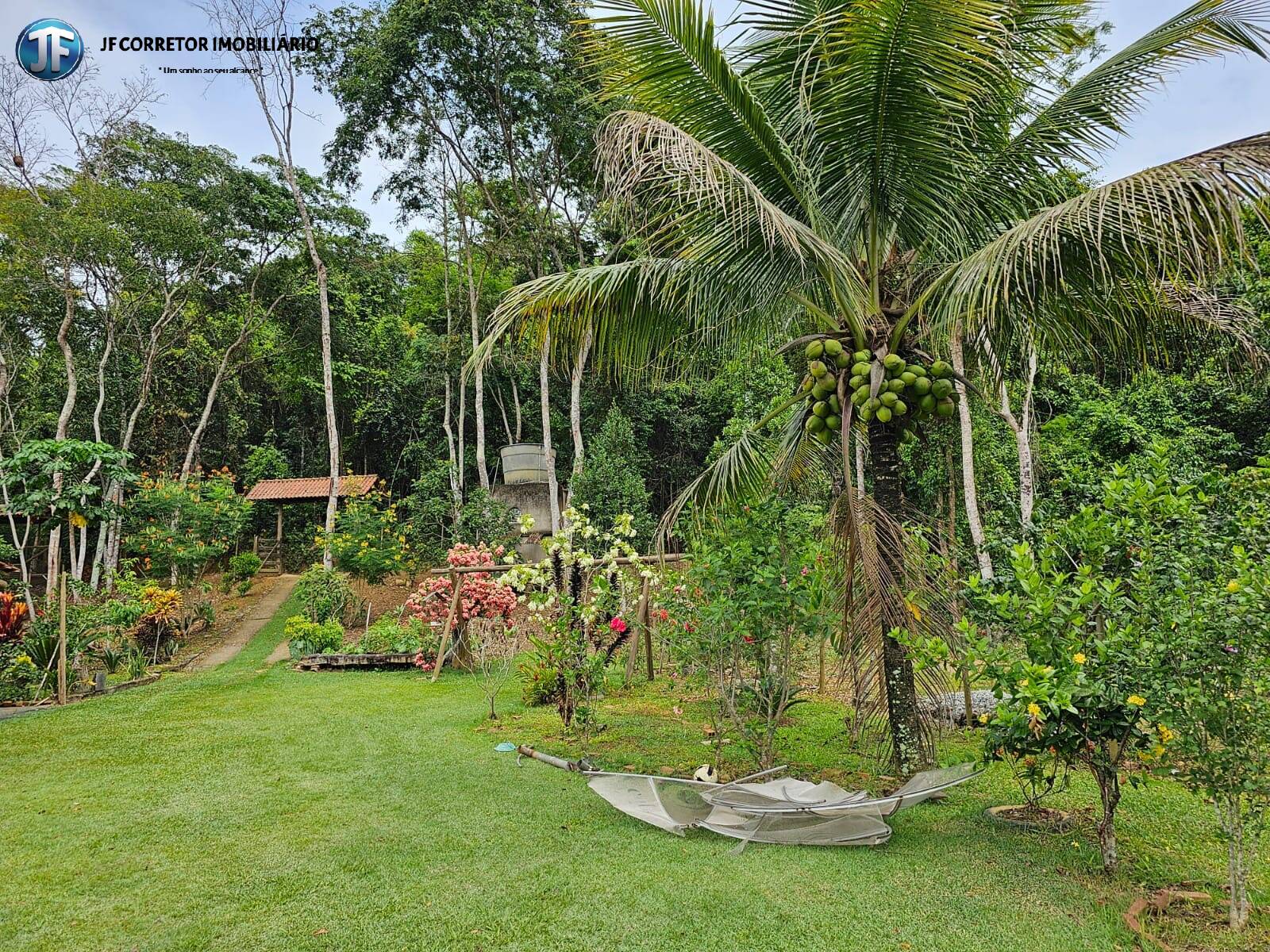 Fazenda à venda com 4 quartos, 6000m² - Foto 14