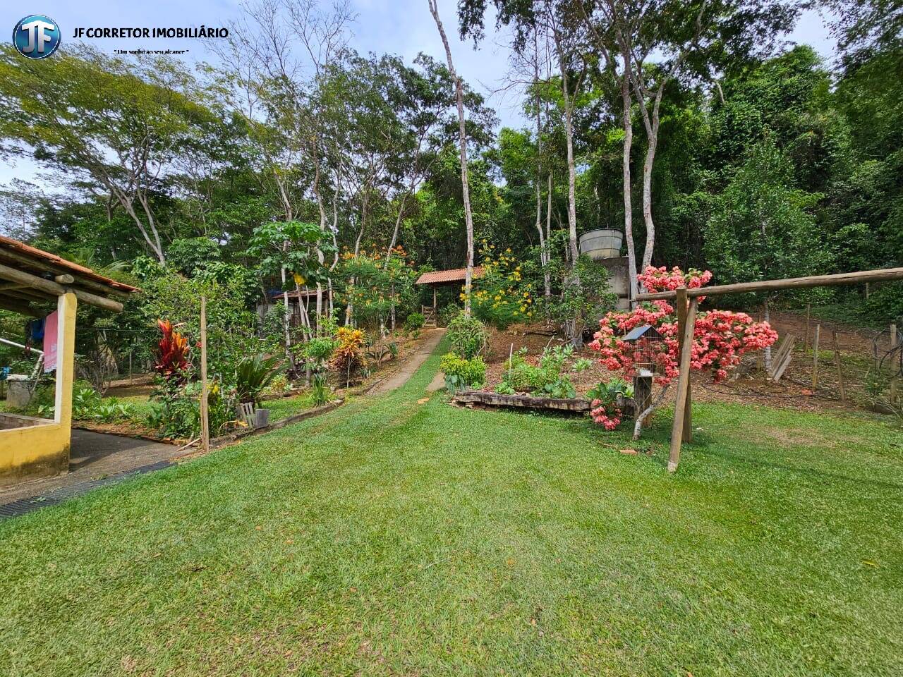 Fazenda à venda com 4 quartos, 6000m² - Foto 19