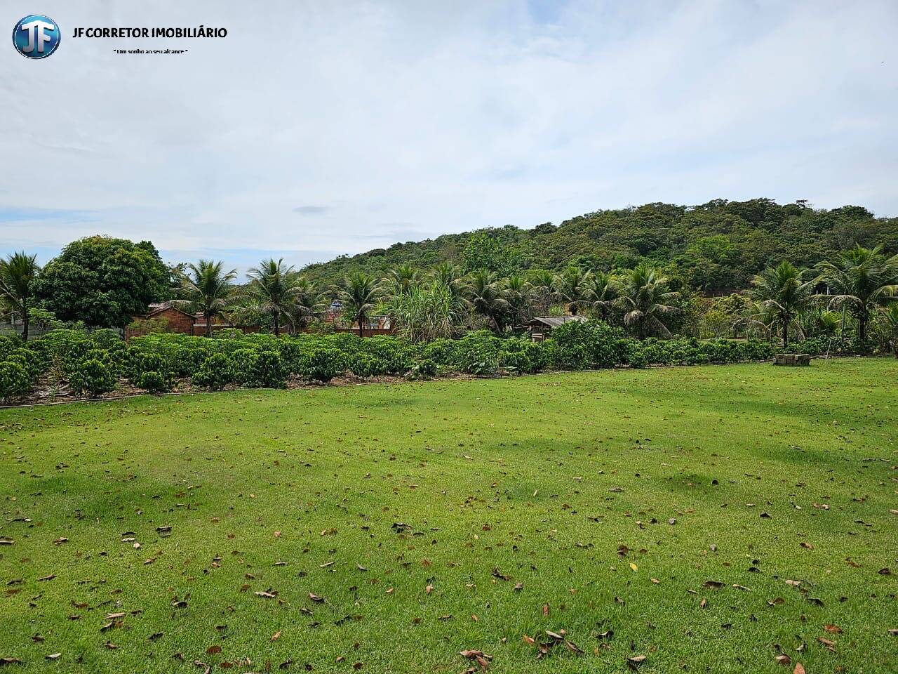 Fazenda à venda com 4 quartos, 6000m² - Foto 21