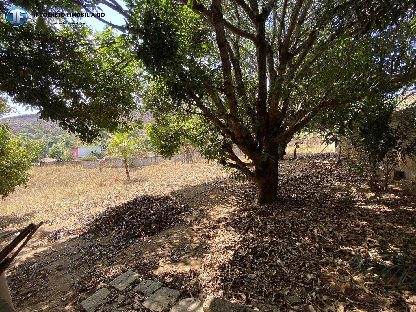 Fazenda à venda com 3 quartos, 4000m² - Foto 5