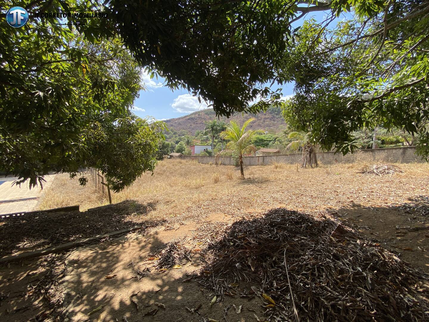 Fazenda à venda com 3 quartos, 4000m² - Foto 6