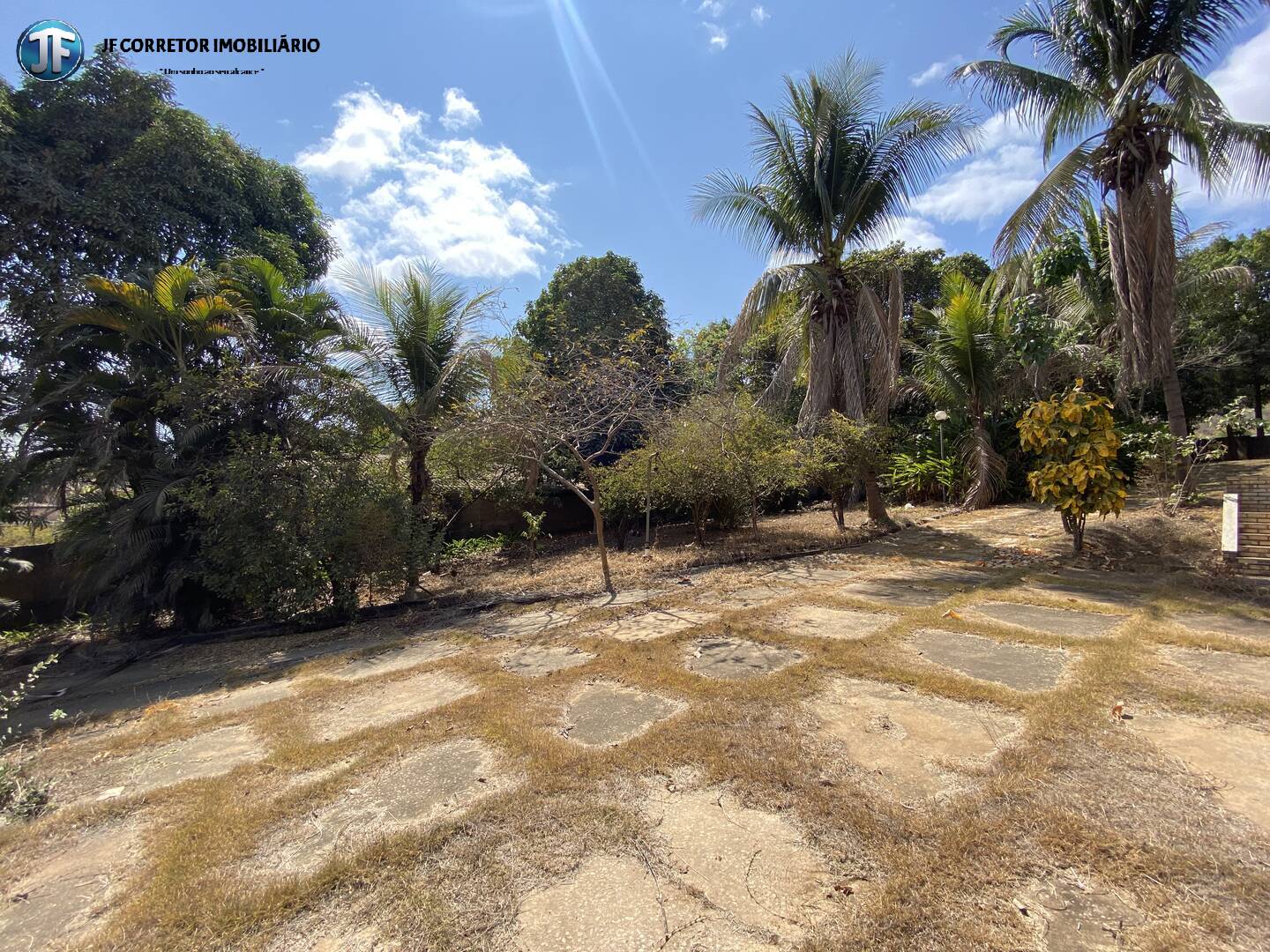 Fazenda à venda com 3 quartos, 4000m² - Foto 23