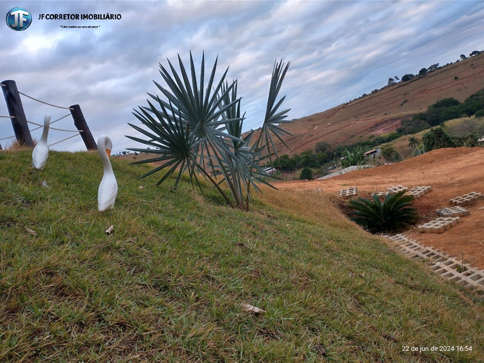 Fazenda à venda com 1 quarto, 1200m² - Foto 14