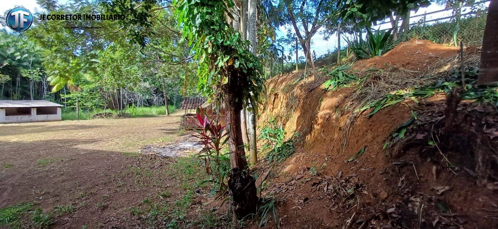 Fazenda à venda com 3 quartos, 5000m² - Foto 12