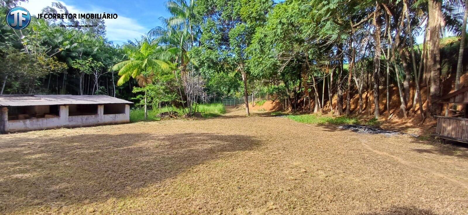 Fazenda à venda com 3 quartos, 5000m² - Foto 9