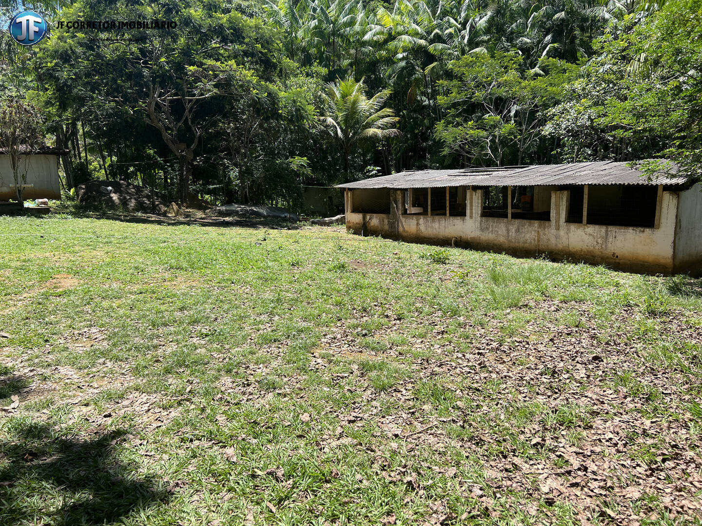 Fazenda à venda com 3 quartos, 5000m² - Foto 4