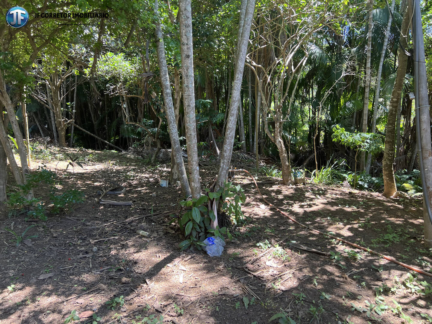 Fazenda à venda com 3 quartos, 5000m² - Foto 6