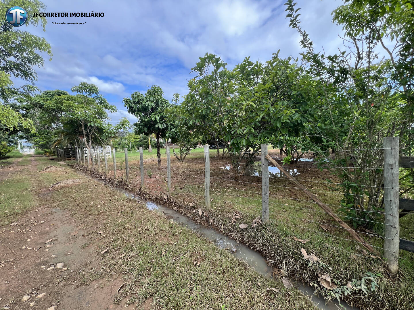 Terreno à venda com 2 quartos, 2000m² - Foto 3