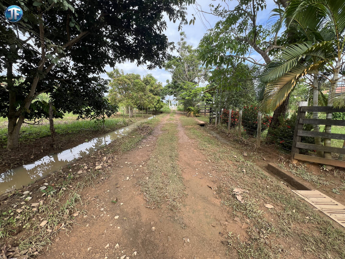 Terreno à venda com 2 quartos, 2000m² - Foto 5