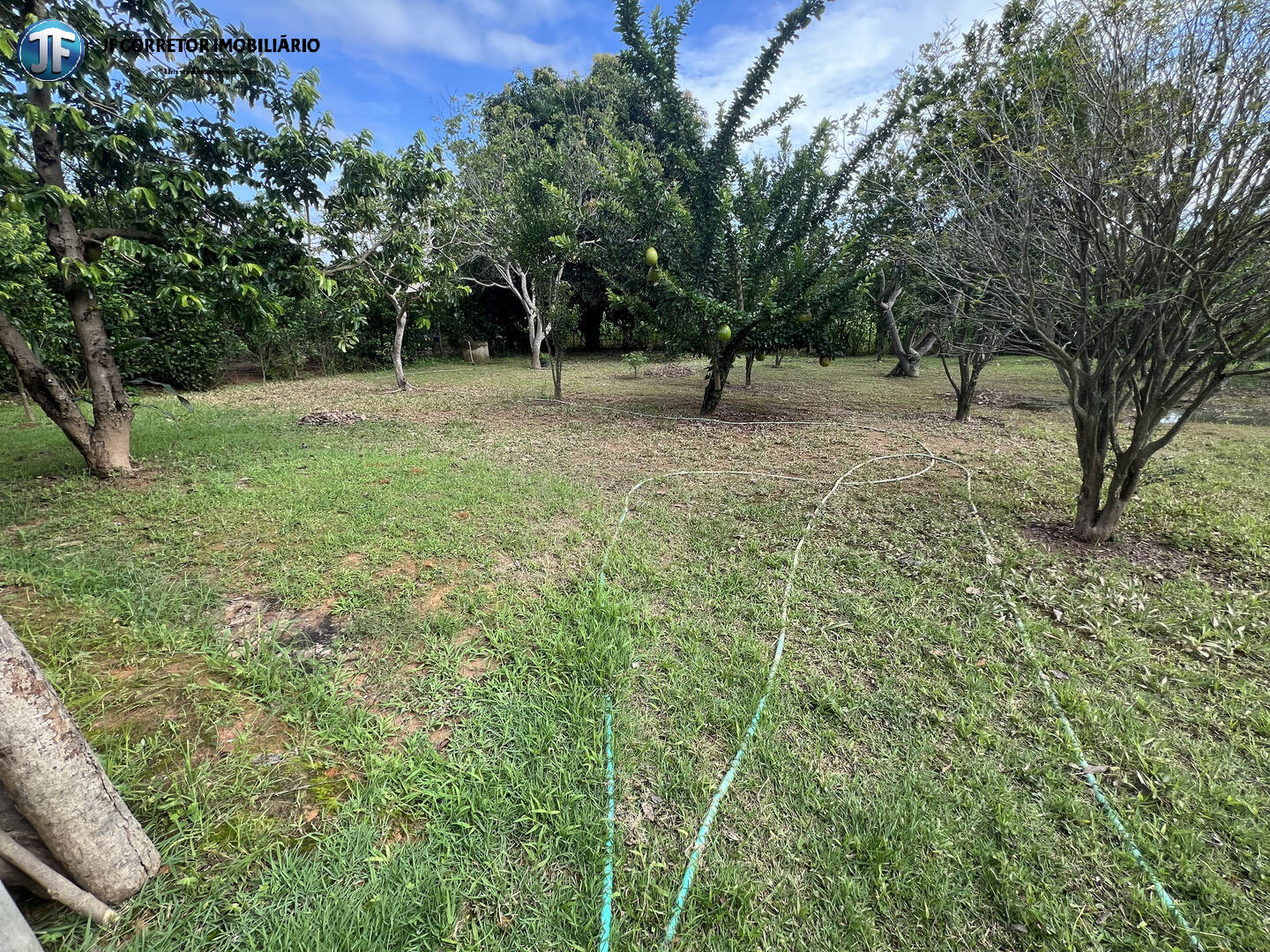 Terreno à venda com 2 quartos, 2000m² - Foto 23