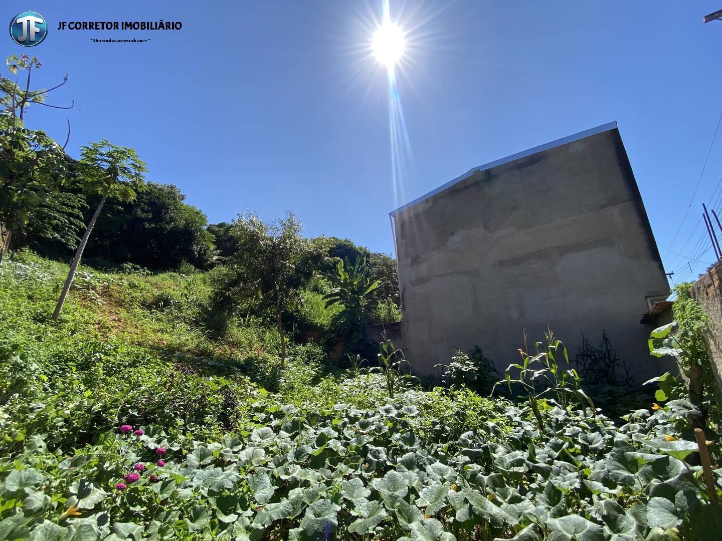 Terreno à venda, 1750m² - Foto 2