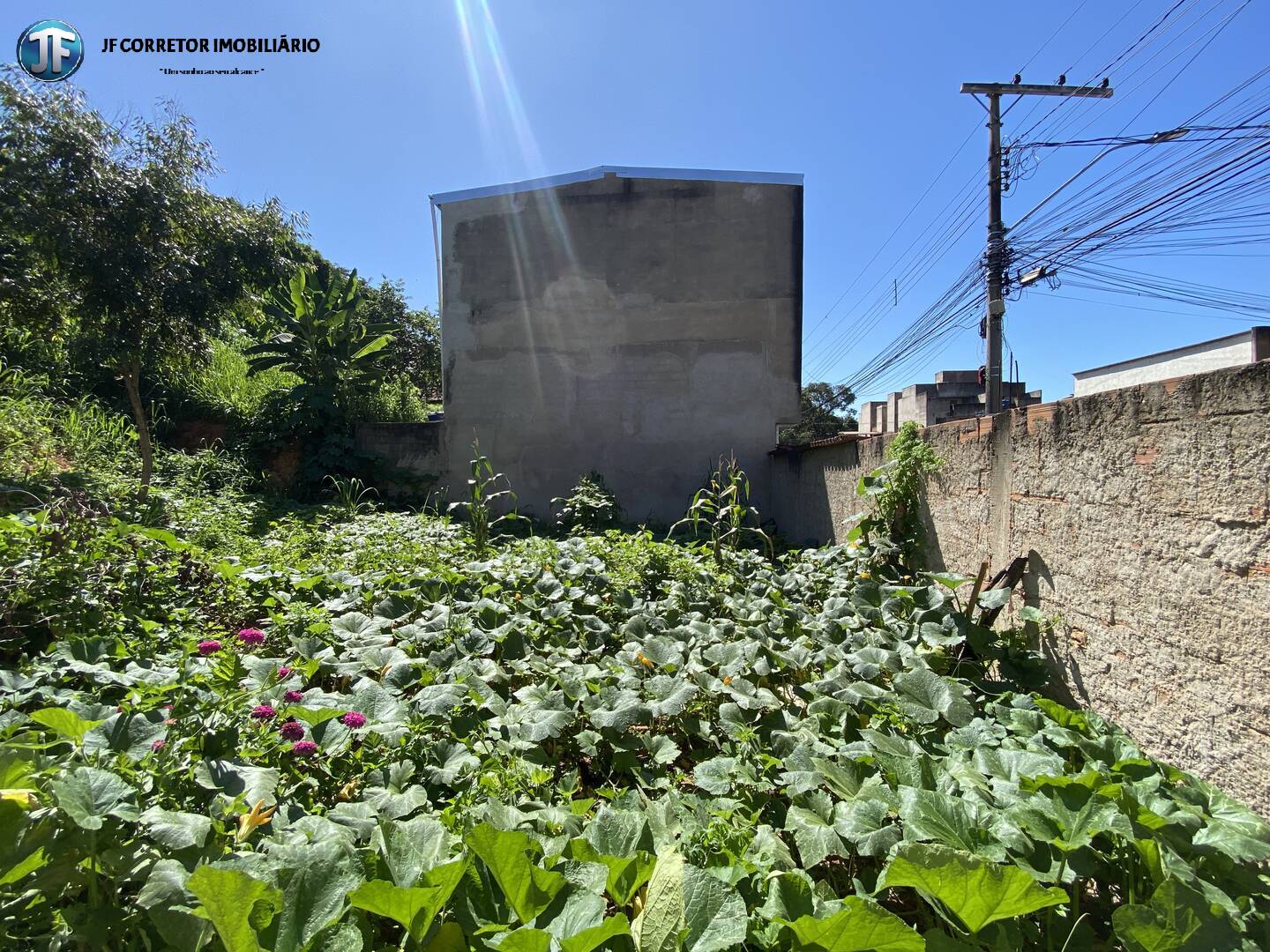 Terreno à venda, 1750m² - Foto 4